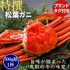 【ボイル】特撰 松葉がに(タグ付き)500g超 お手頃サイズ　1杯