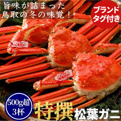 《2025年2月・3月発送》【ボイル】特撰 松葉がに(タグ付き)500g超 お手頃サイズ　3杯