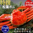 【ボイル】特撰 松葉がに(タグ付き)600g超の大きいサイズ　1杯