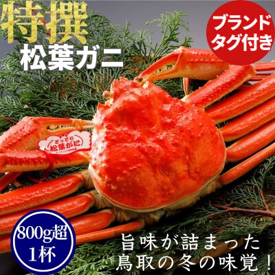 《2025年2月・3月発送》【ボイル】特撰 松葉がに(タグ付き)800g超の大きいサイズ　特大1杯