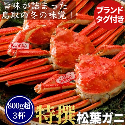 《2025年2月・3月発送》【ボイル】特撰 松葉がに(タグ付き)800g超の大きいサイズ　特大3杯
