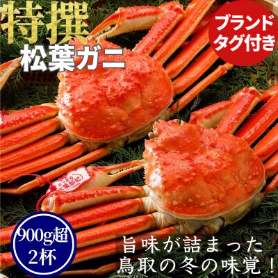 《2025年2月・3月発送》【ボイル】特撰 松葉がに(タグ付き)900g超の大きいサイズ　特大2杯
