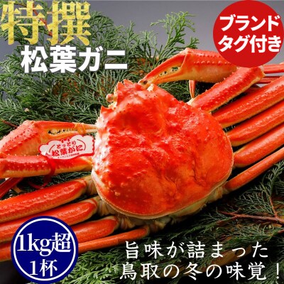 《2025年2月・3月発送》【ボイル】特撰 松葉がに(タグ付き)1kg超の大きいサイズ　特大1杯