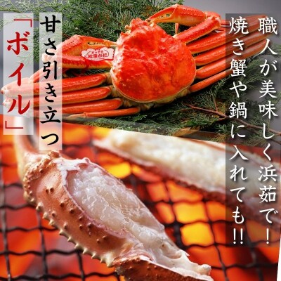 《2025年2月・3月発送》【ボイル】特撰 松葉がに(タグ付き)1kg超の大きいサイズ　特大1杯