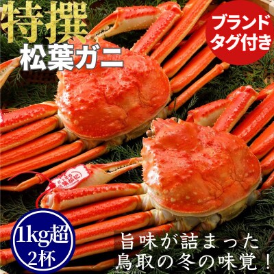 《2025年2月・3月発送》【ボイル】特撰 松葉がに(タグ付き)1kg超の大きいサイズ　特大2杯