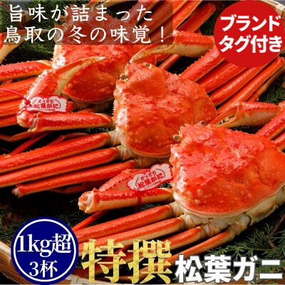 《2025年2月・3月発送》【ボイル】特撰 松葉がに(タグ付き)1kg超の大きいサイズ　特大3杯