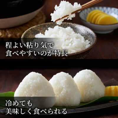 鳥取県産 ひとめぼれ 令和7年産 精米済 20kg(5kg×4袋)