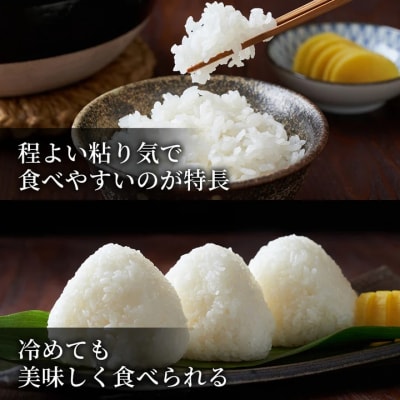 鳥取県産 ひとめぼれ 令和7年産 精米済 10kg(5kg×2袋)