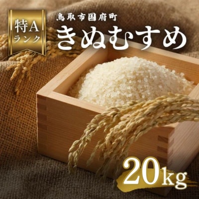 鳥取県産 きぬむすめ 令和7年産 精米済 20kg(5kg×4袋)
