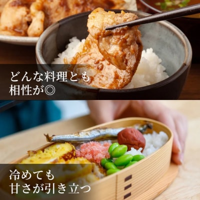 鳥取県産 きぬむすめ 令和7年産 精米済 20kg(5kg×4袋)