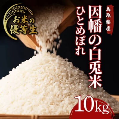 因幡の白兎米 ひとめぼれ 令和7年産 精米済 10kg(5kg×2袋)