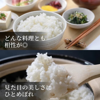 因幡の白兎米 ひとめぼれ 令和7年産 精米済 10kg(5kg×2袋)