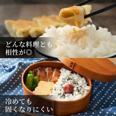 因幡の白兎米 きぬむすめ 令和7年産 精米済 10kg(5kg×2袋)