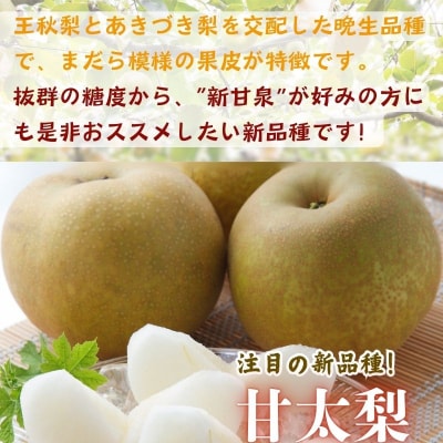 プレミアム甘太梨5kg