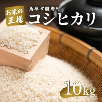 鳥取県産 コシヒカリ 令和7年度産 精米済 10kg(5kg×2袋)