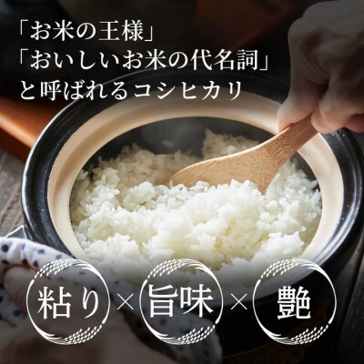 鳥取県産 コシヒカリ 令和7年度産 精米済 10kg(5kg×2袋)
