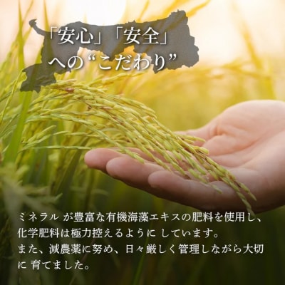 鳥取県産 コシヒカリ 令和7年度産 精米済 10kg(5kg×2袋)