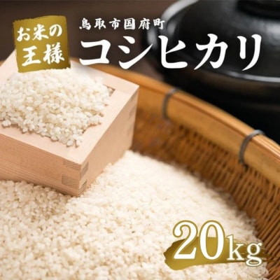 鳥取県産 コシヒカリ 令和7年度産 精米済 20kg(5kg×4袋)