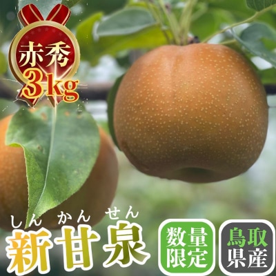 新甘泉(赤秀) 3kg【やまさきファーム】