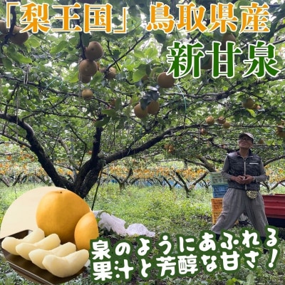 新甘泉(赤秀) 3kg【やまさきファーム】