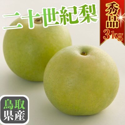 二十世紀梨(秀) 3kg【やまさきファーム】