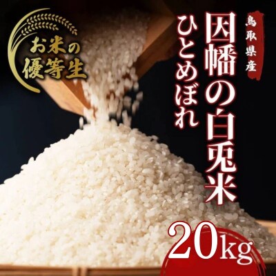 因幡の白兎米 ひとめぼれ 令和7年産 精米済 20kg(5kg×4袋)