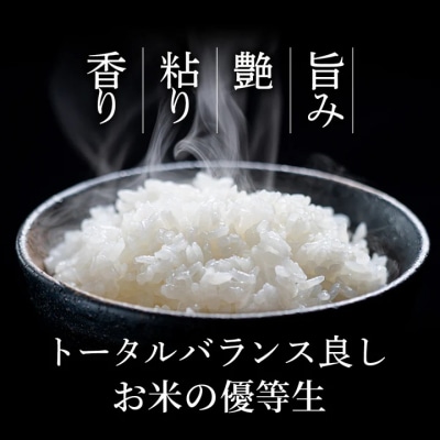因幡の白兎米 ひとめぼれ 令和7年産 精米済 20kg(5kg×4袋)