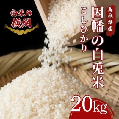 因幡の白兎米 コシヒカリ 令和7年産 精米済 20kg(5kg×4袋)