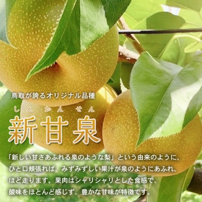 新甘泉(秀) 3L 3kg