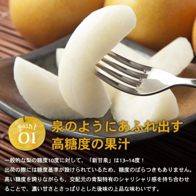 新甘泉(秀) 3L 3kg