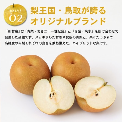 新甘泉(秀) 3L 3kg