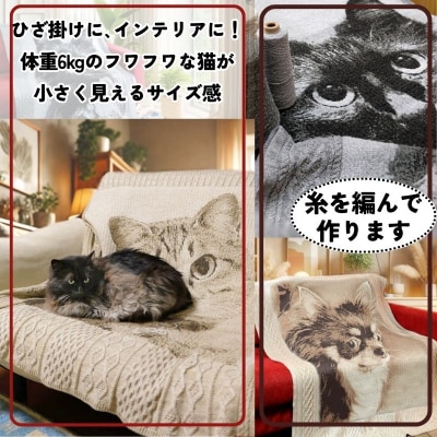 ペットオーダーメイドニット ノスタルジックニットラグ 160cm×100cm