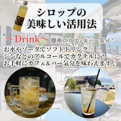 『特級 新甘泉』　梨シロップ　370m 2本セット