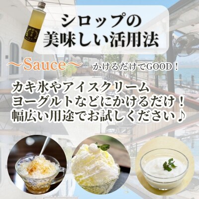 『特級 新甘泉』　梨シロップ　370m 2本セット