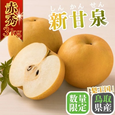 新甘泉(赤秀) 3kg【Y's Farm Tottori】