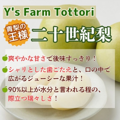 二十世紀梨(家庭用) 3kg【Y's Farm Tottori】