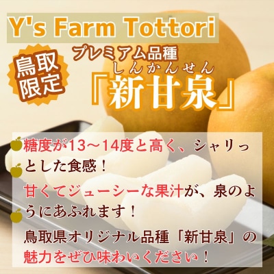 新甘泉(家庭用) 3kg【Y's Farm Tottori】