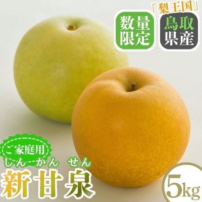 【2027年発送分先行受付】新甘泉(家庭用) 5kg【Y's Farm Tottori】