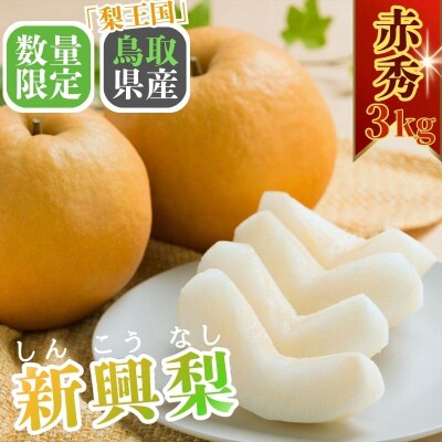 新興梨(赤秀) 3kg【期間・数量限定】【Y's Farm Tottori】