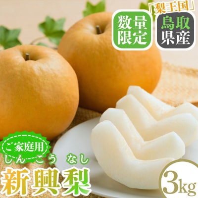 新興梨(家庭用) 3kg【Y's Farm Tottori】
