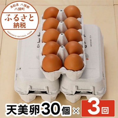 【3か月定期便】平飼い天美卵30個〈大江ノ郷自然牧場より直送〉