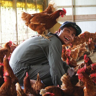 【3か月定期便】平飼い天美卵30個〈大江ノ郷自然牧場より直送〉