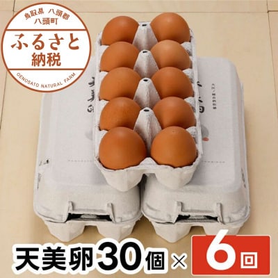 【6か月定期便】平飼い天美卵30個〈大江ノ郷自然牧場より直送〉