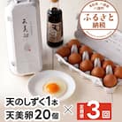 【3か月定期便】平飼い天美卵20個&たまごかけご飯専用醤油「天のしずく」セット〈大江ノ郷自然牧場直送