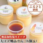 大江ノ郷ぷりん(6個入)【無添加牧場スイーツ】