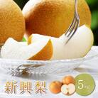 新興梨　家庭用 5kg