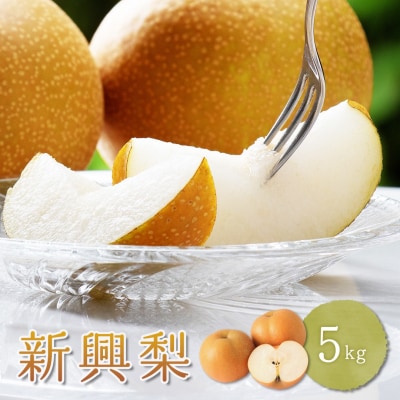 新興梨　家庭用 5kg