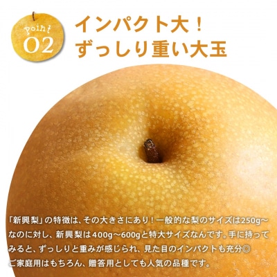 新興梨　家庭用 5kg