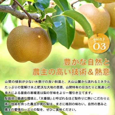 新興梨　家庭用 5kg
