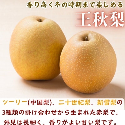 【訳あり】王秋梨　5kg(4kg+1kg!)【2026年1月以降順次発送】